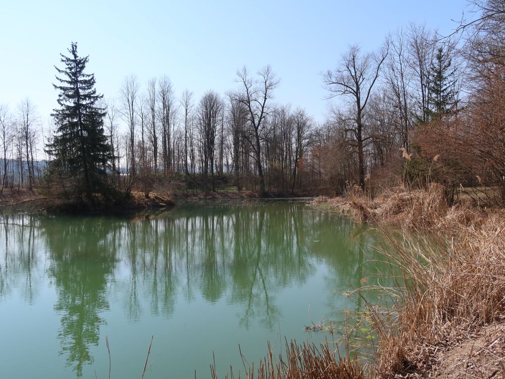 Teich bei Studenau