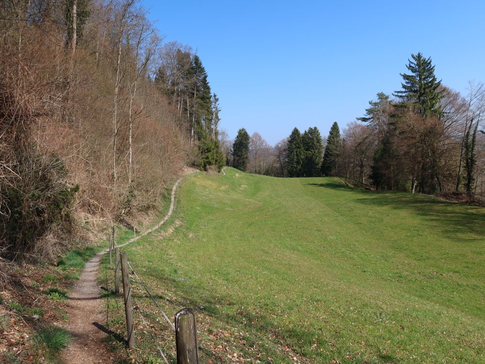 Wanderweg am Waldrand