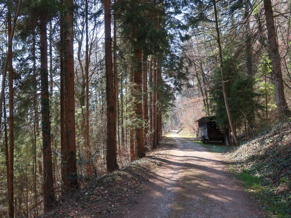 Waldweg