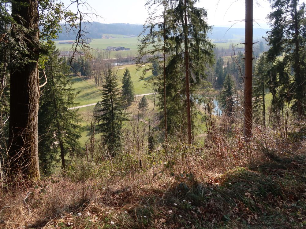 Blick auf den Golfplatz und die Thur