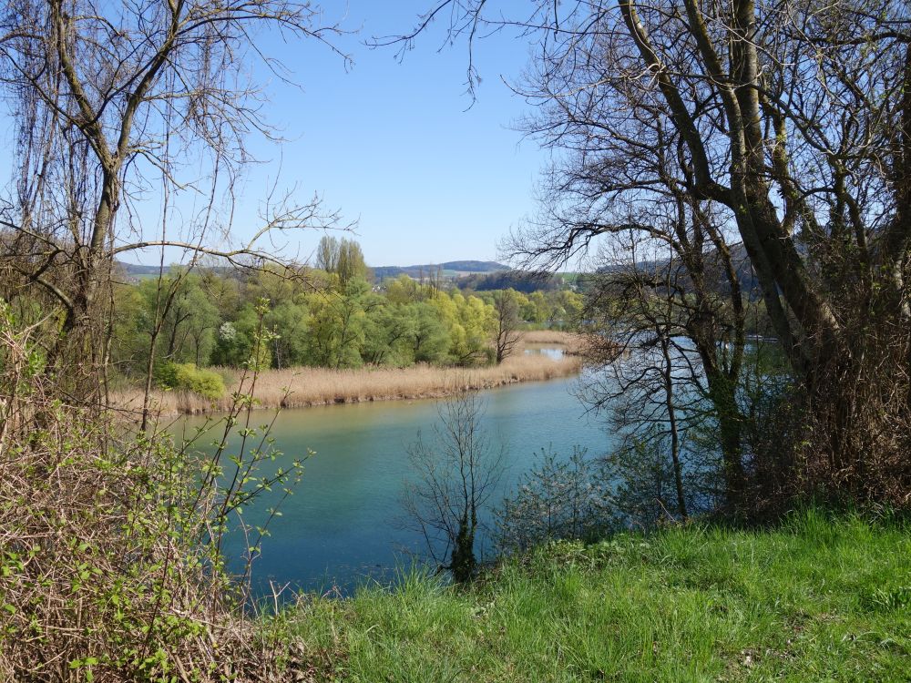 Blick auf den Rhein