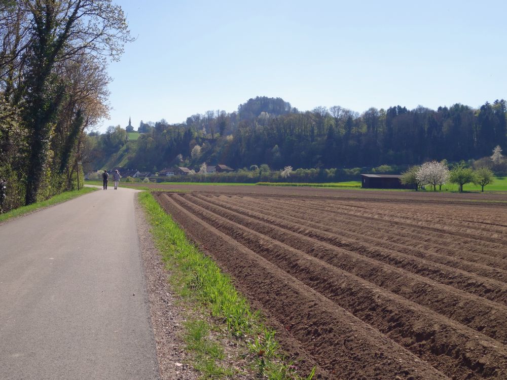 Acker und Kirche von Buchberg