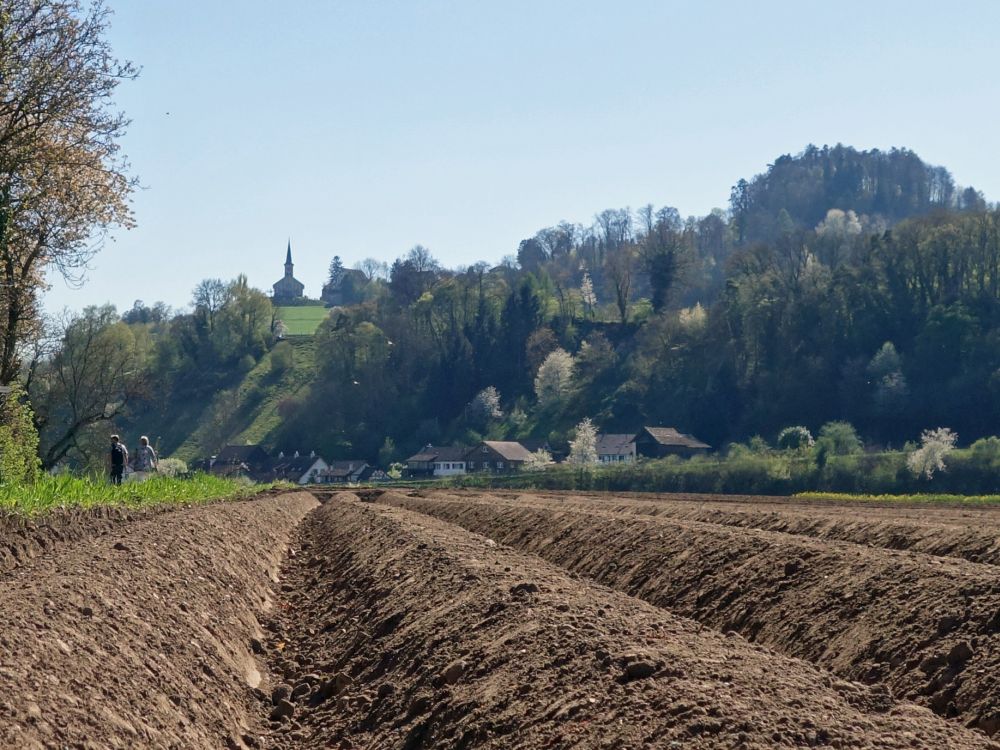 Acker und Kirche von Buchberg