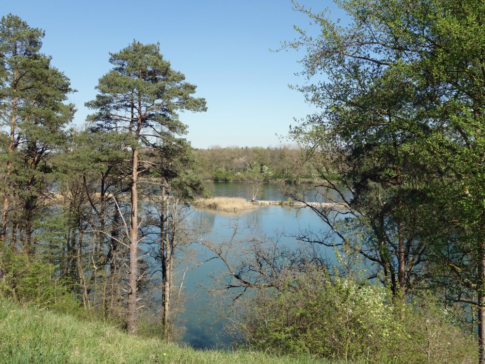 Blick auf den Rhein