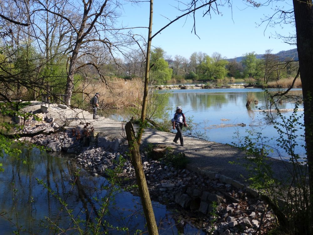 Wanderweg am Rhein