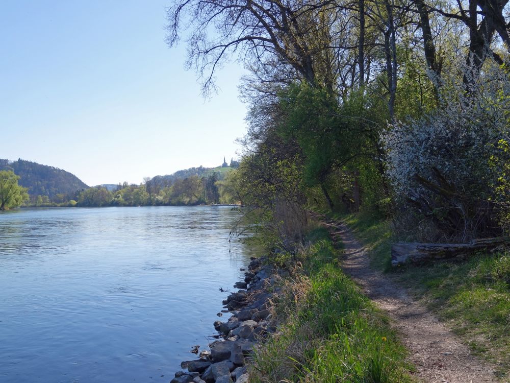 Wanderweg am Rhein