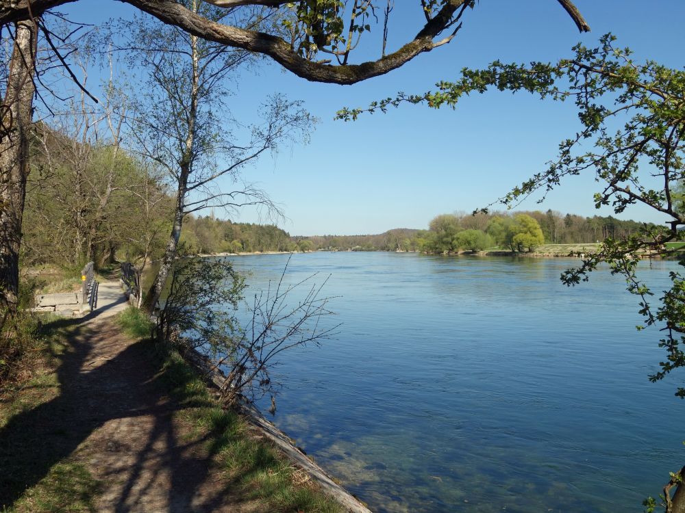 Wanderweg am Rhein