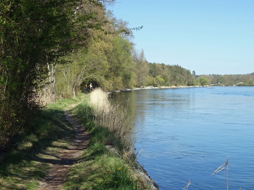 Wanderweg am Rhein