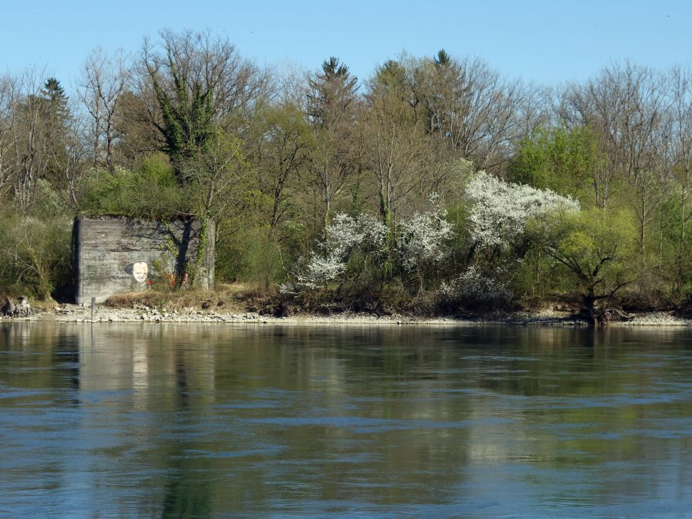 Bunker am Rheinufer