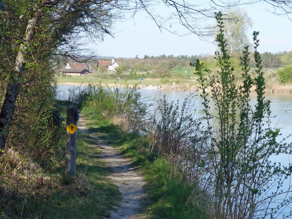 Wanderweg am Rhein