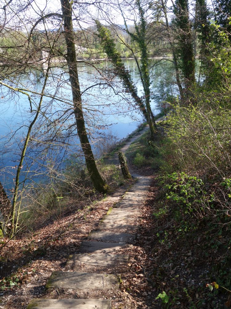 Wanderweg am Rhein