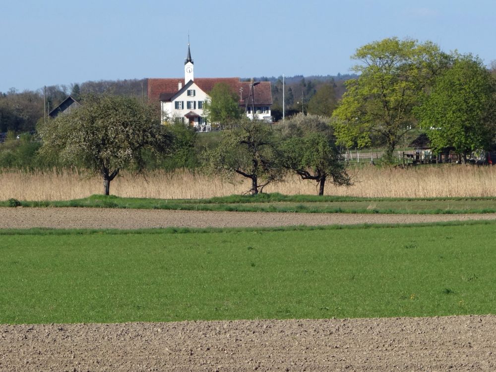 Kirche von Ellikon