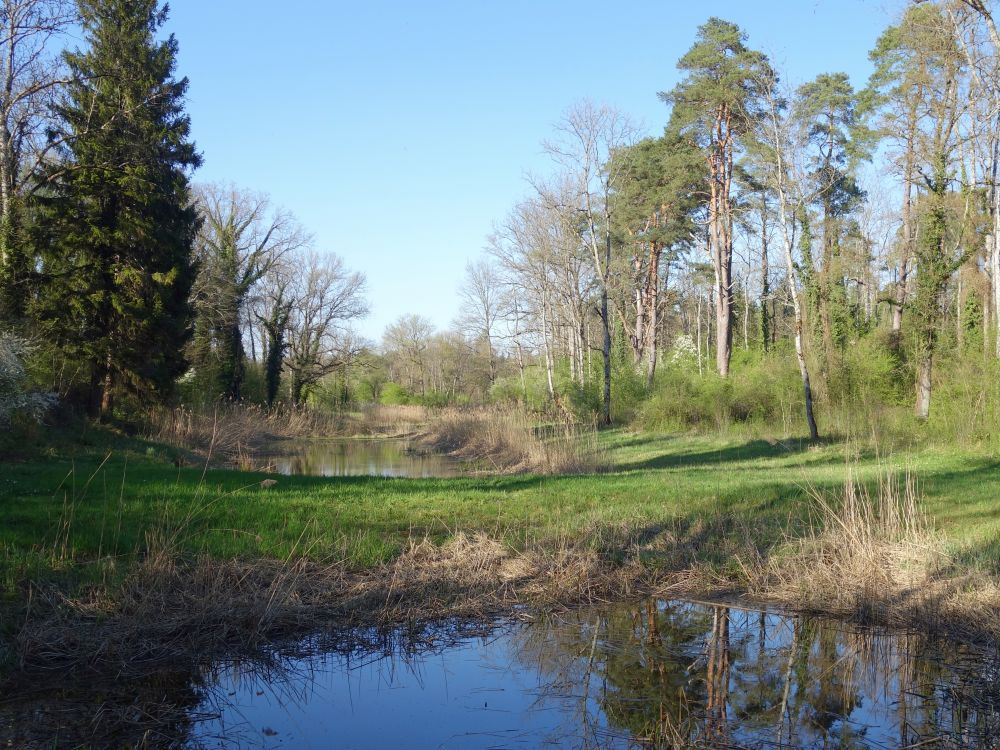 Teich im Thurhau