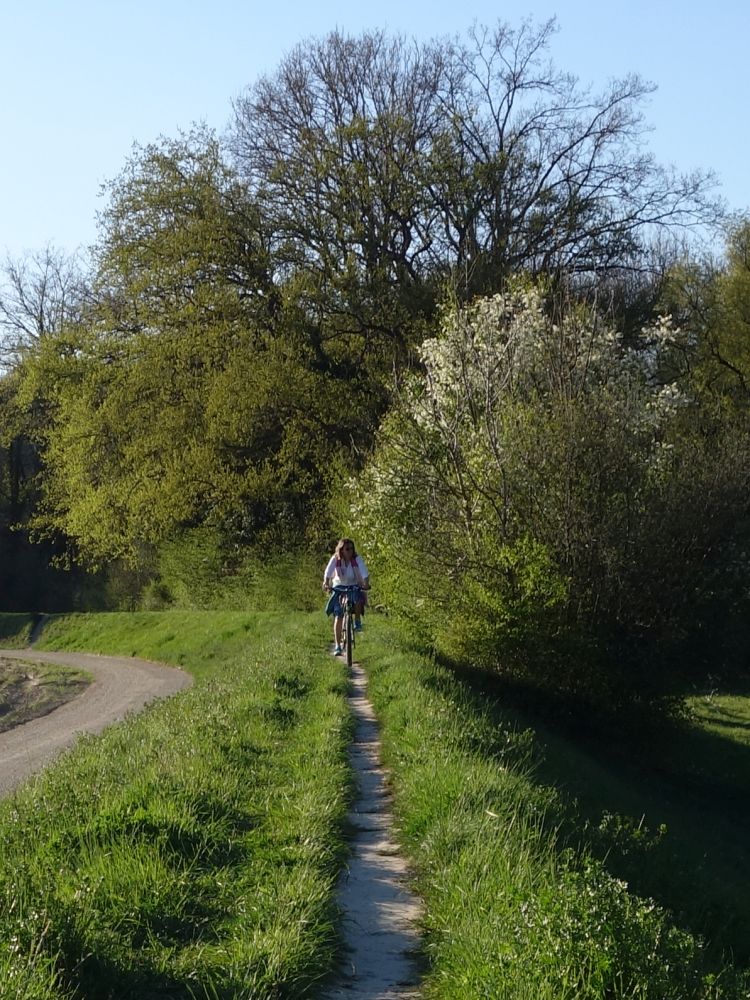 Gegenverkehr auf dem Dammweg