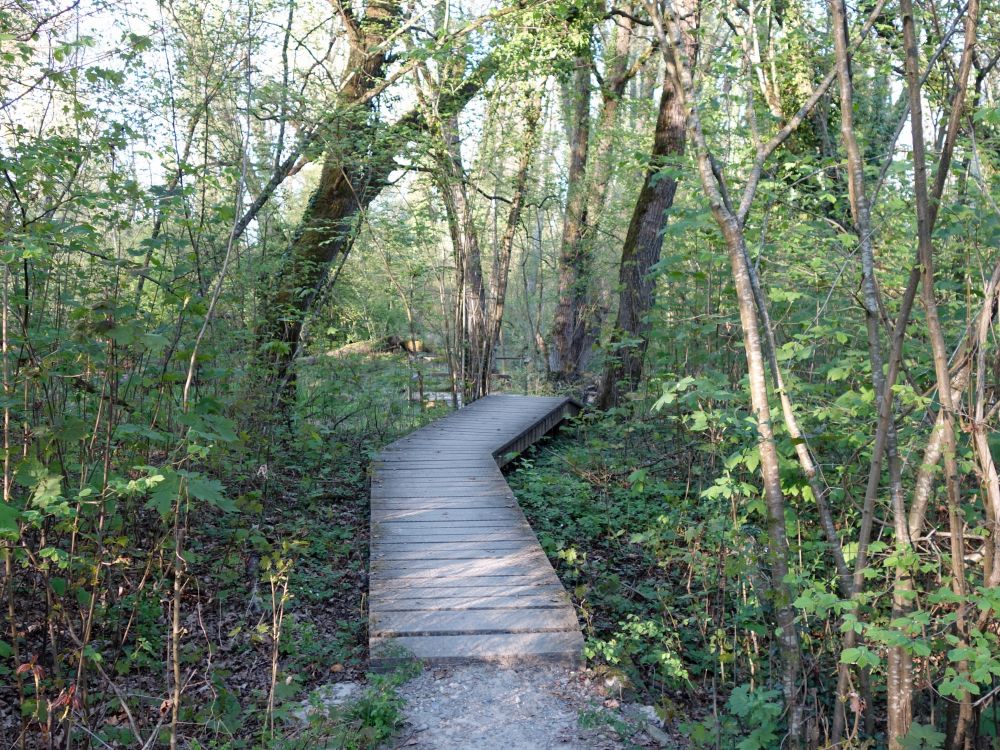 Holzsteg am Thurspitz