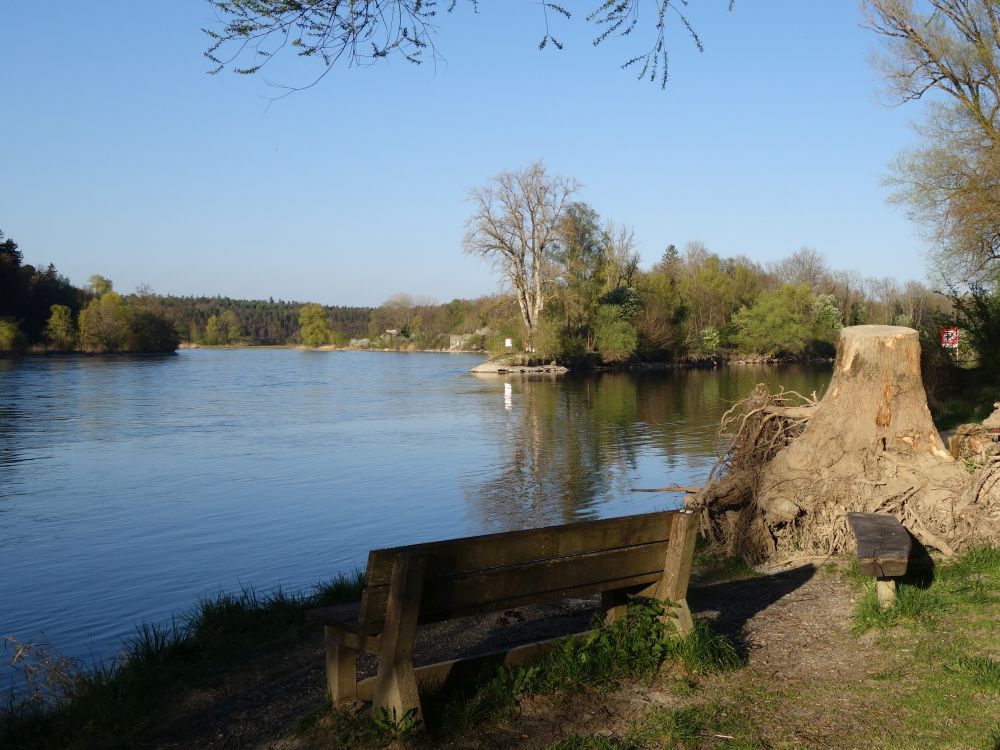 Thurmündung