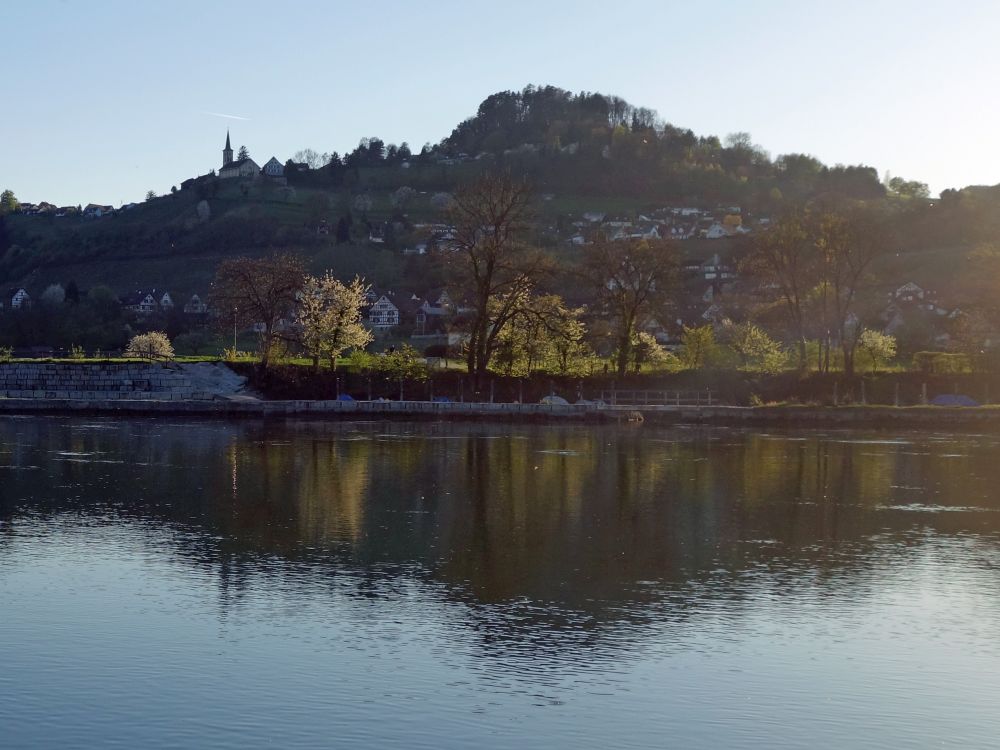 Buchberg über dem Rhein