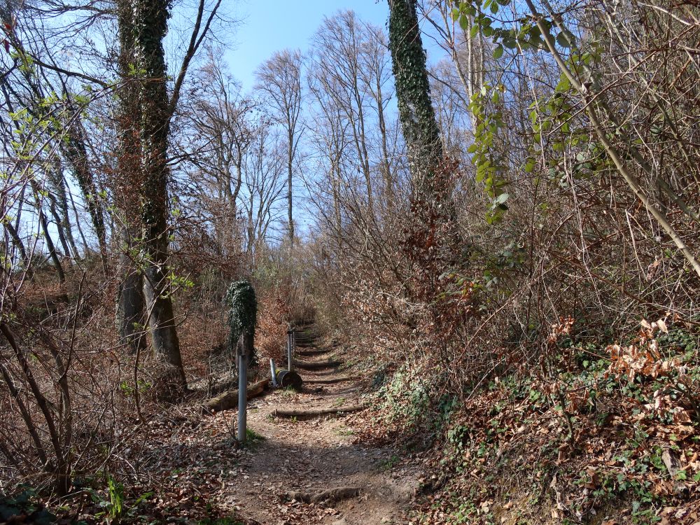 Bergweg