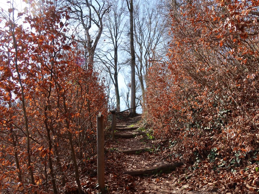 Bergweg
