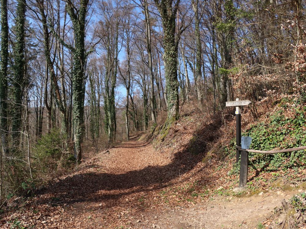 Bergweg