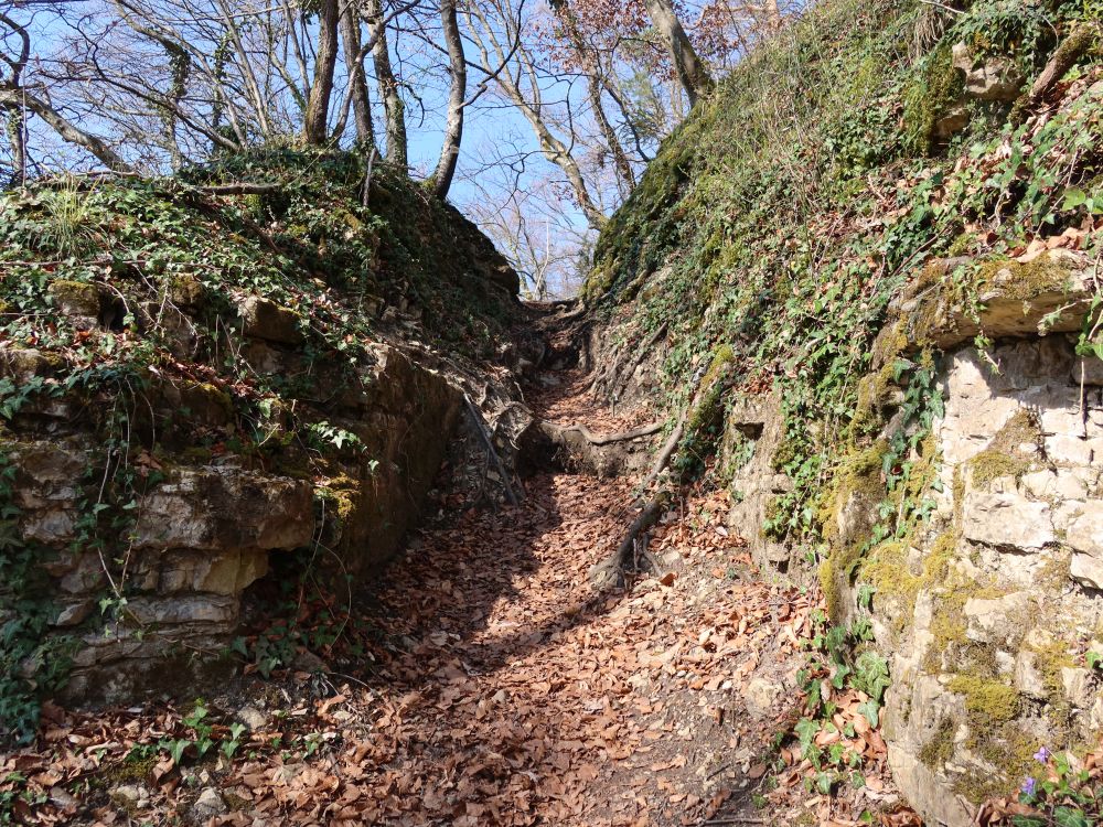 Bergweg