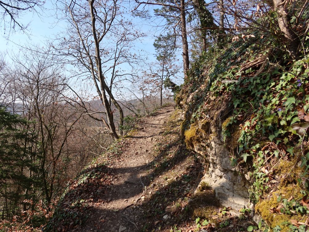 Bergweg