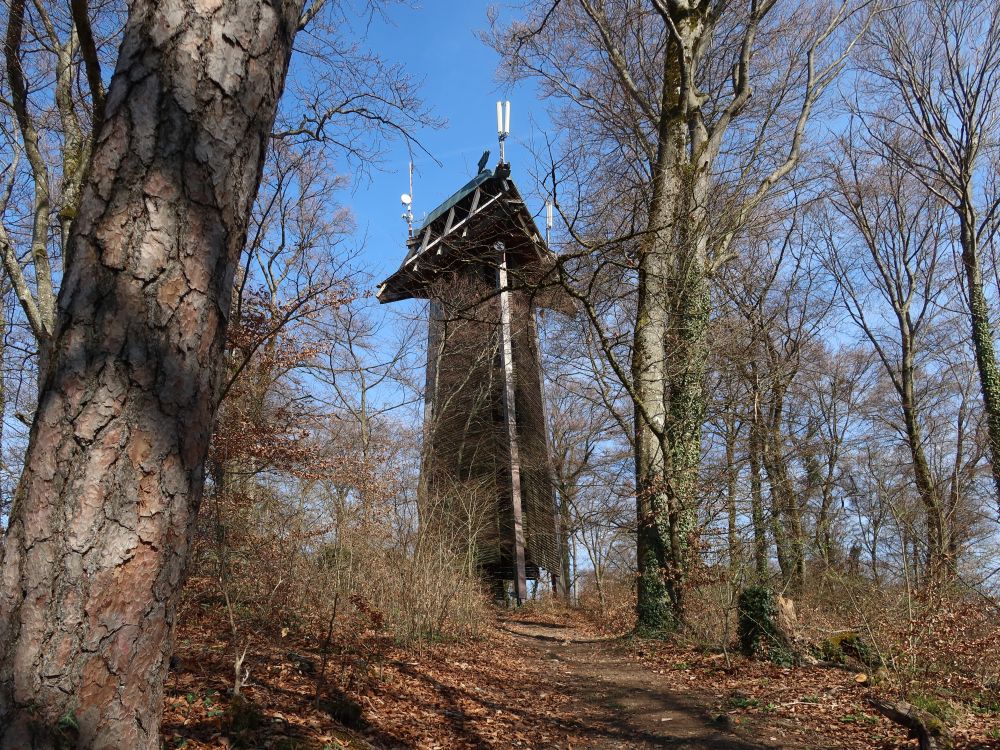 Vitibuckturm