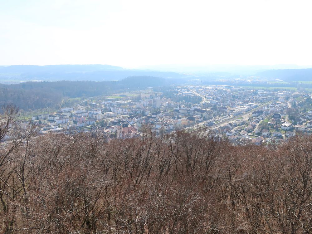 Blick auf Tiengen