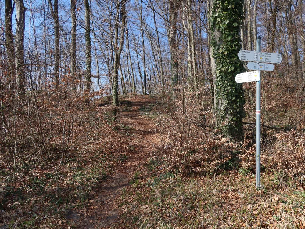 Wanderwegweiser