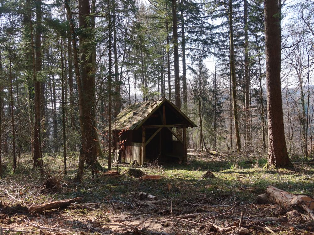 Waldhütte