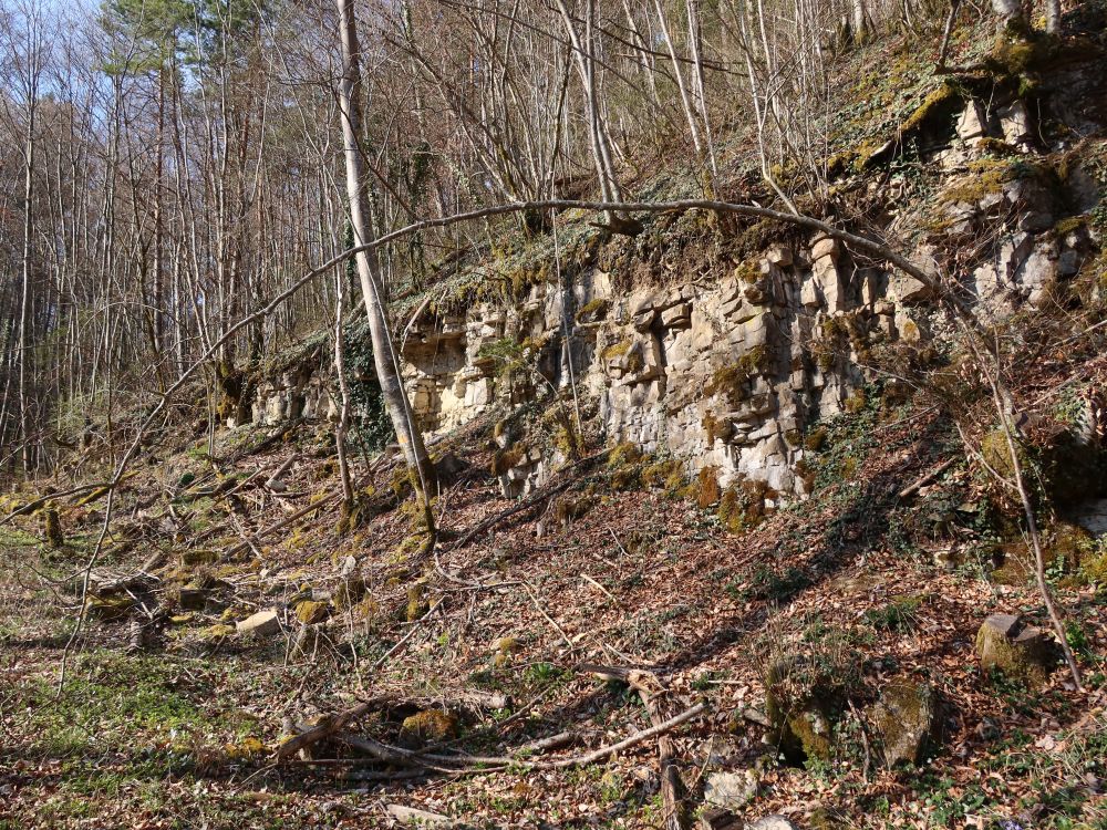 Felswand
