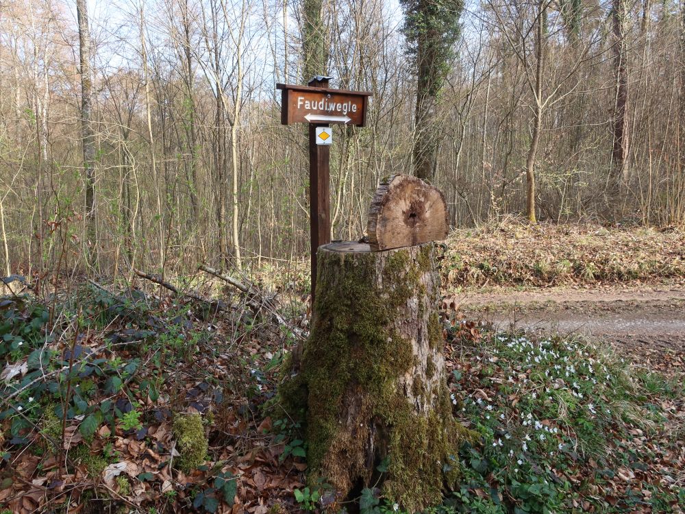 Wegweiser