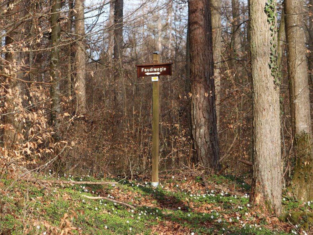 Wegweiser