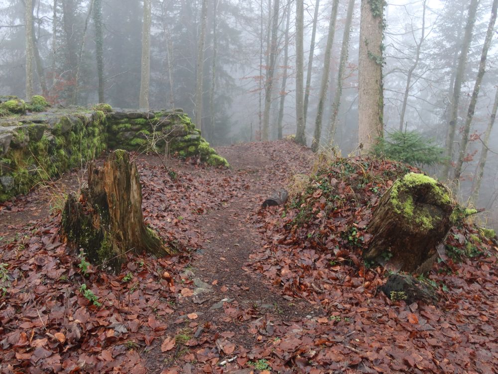 Ruine Heitenau