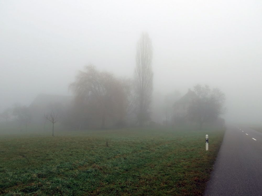 Häuser im Nebel