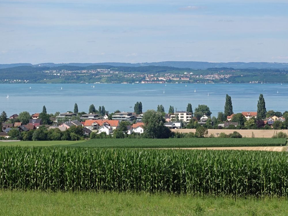 Scherzingen und Meersburg