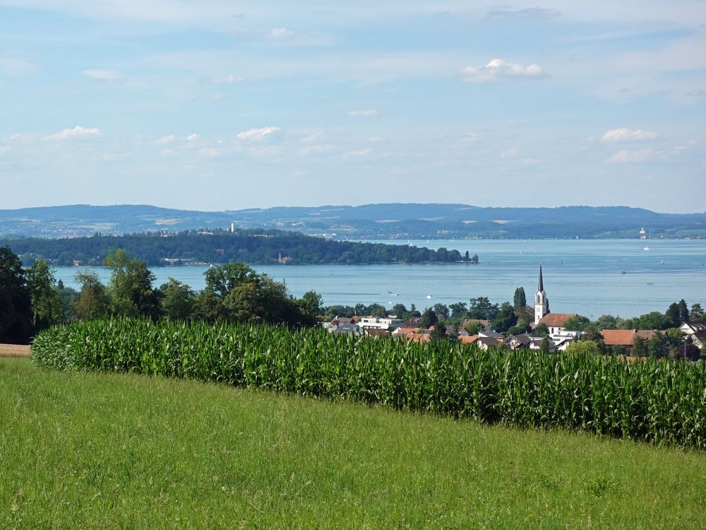 Scherzingen und Lorettowald im Hintergrund