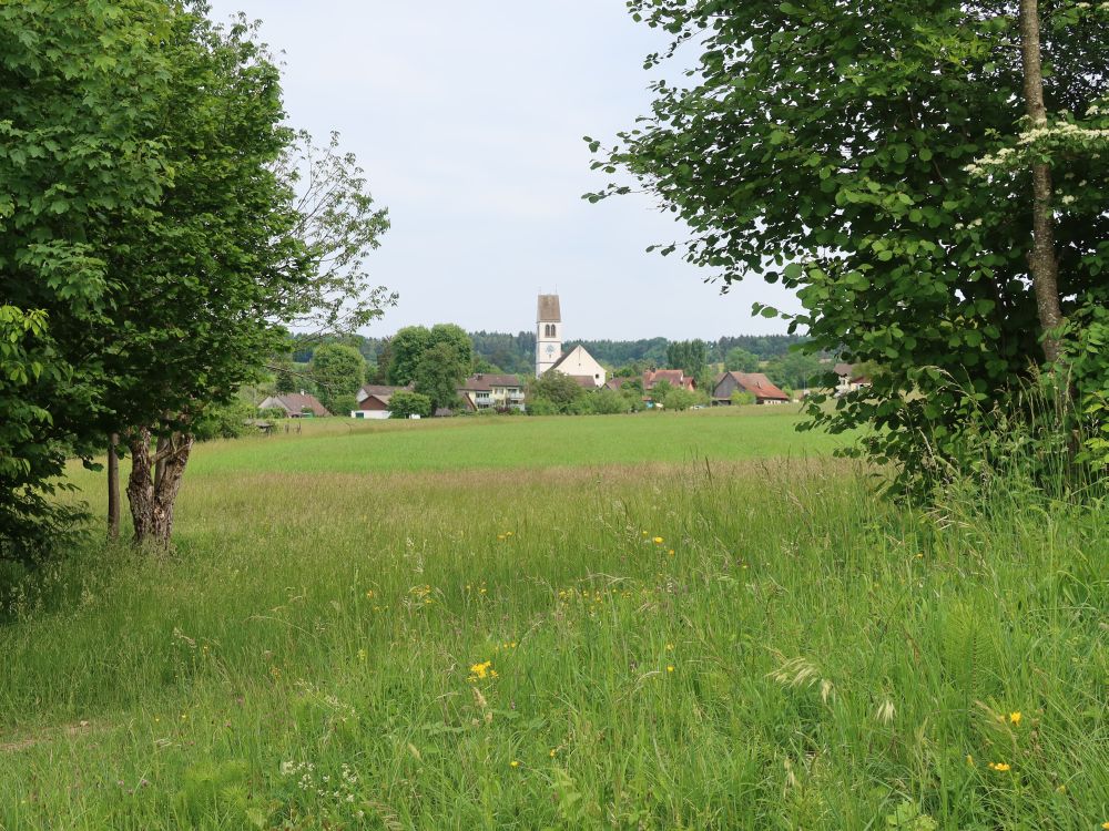 Kirche von Gachnang