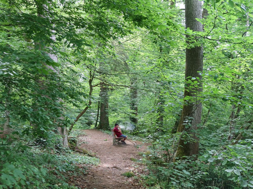 Stinker im Wald