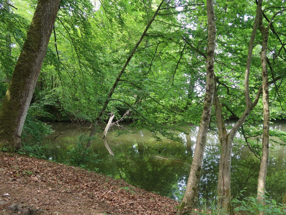 Tobelweiher