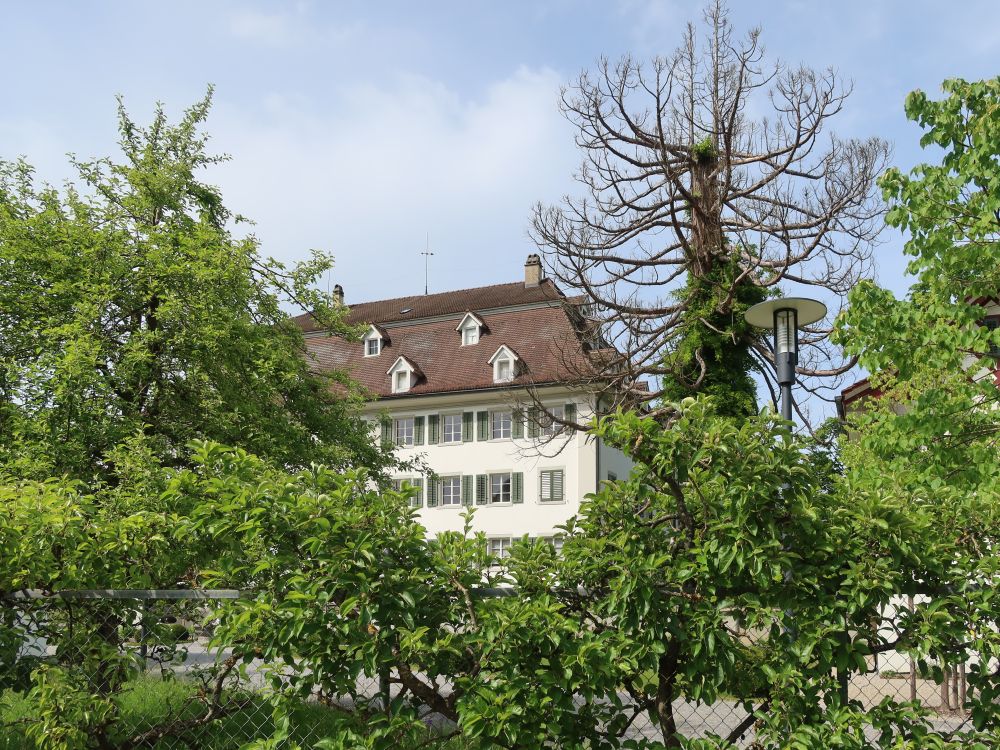 Schloss Neu Gachnang