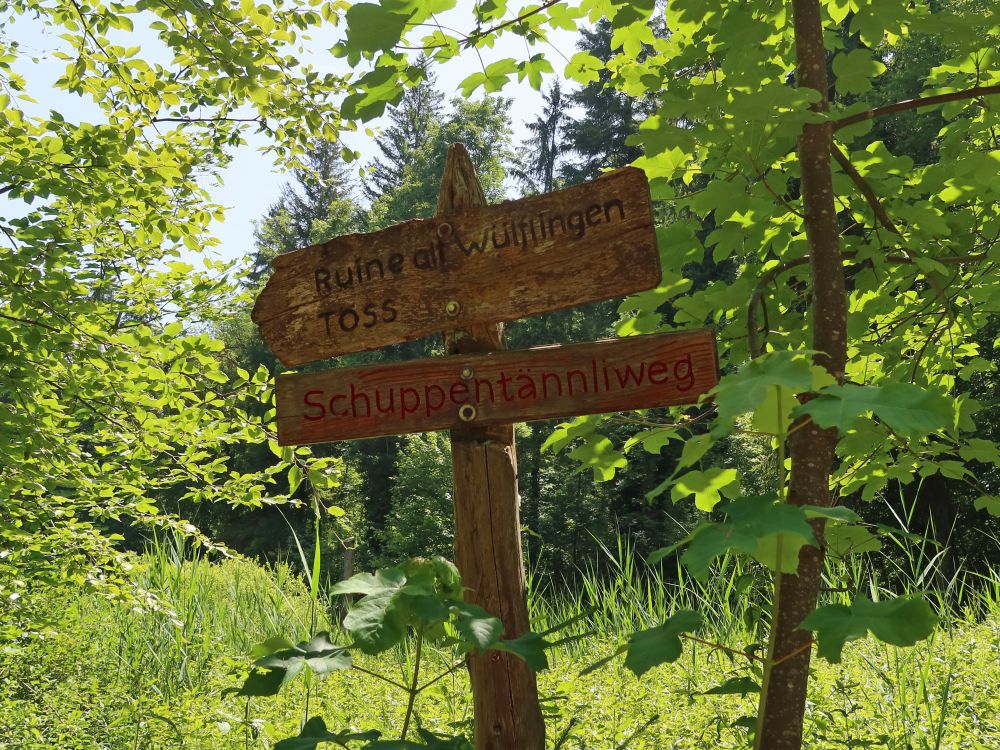 Wegweiser