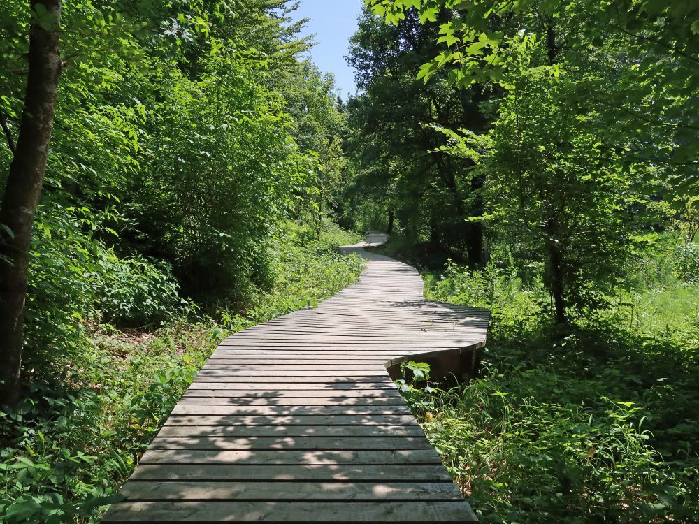 Holssteg im Totentäli