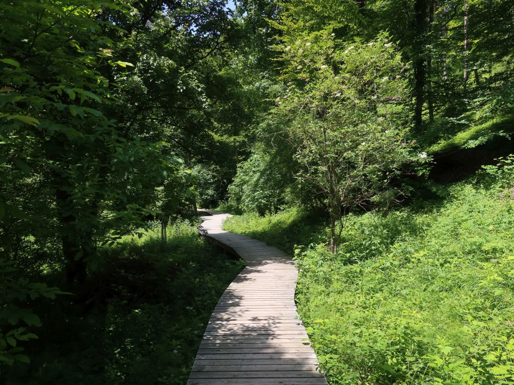 Holssteg im Totentäli