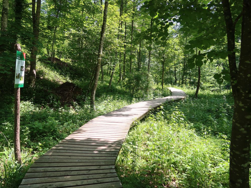 Holssteg im Totentäli