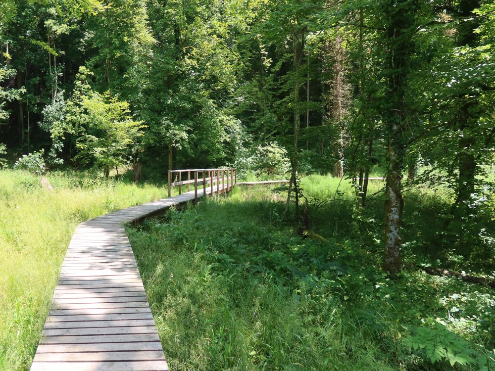 Holssteg im Totentäli