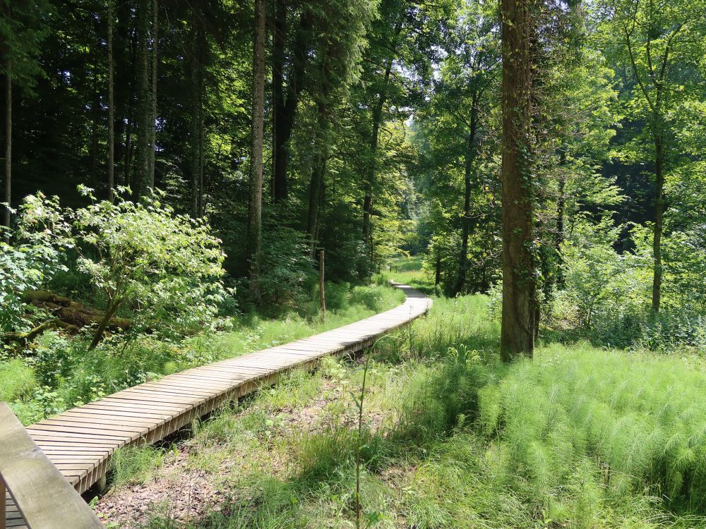 Holssteg im Totentäli