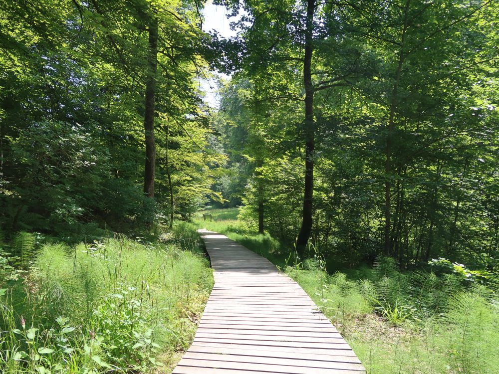 Holssteg im Totentäli