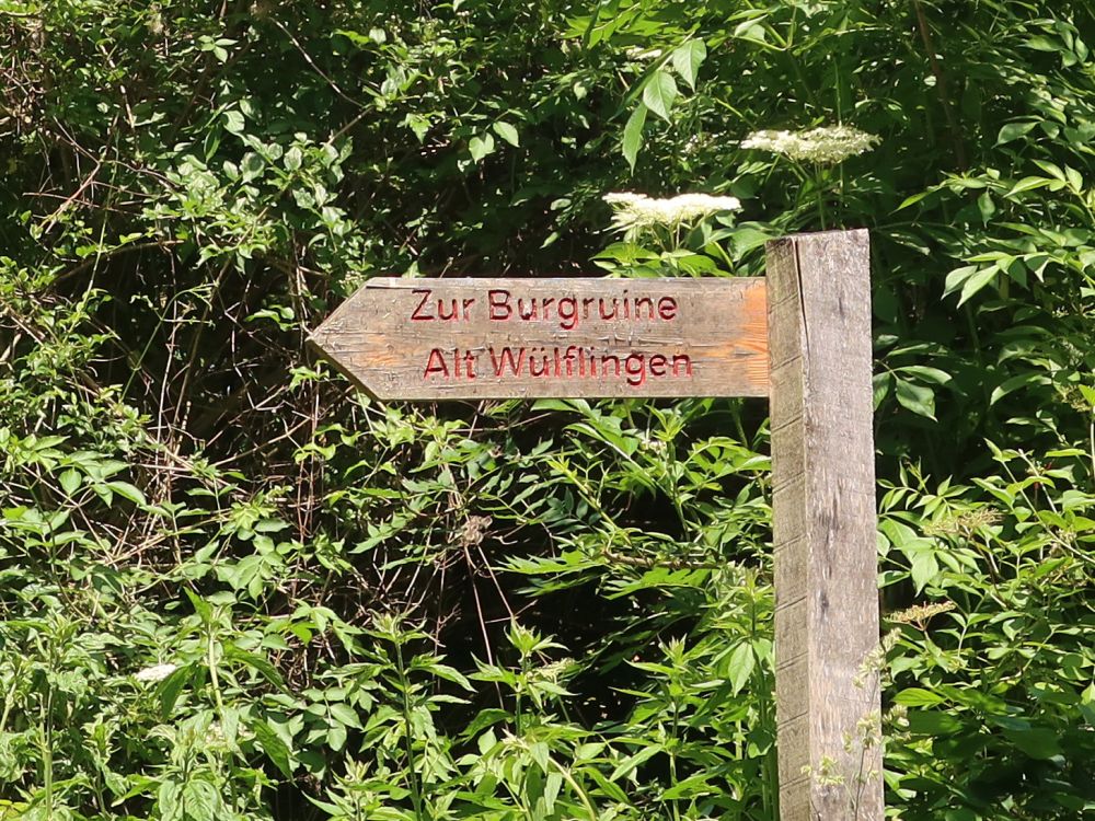Wegweiser