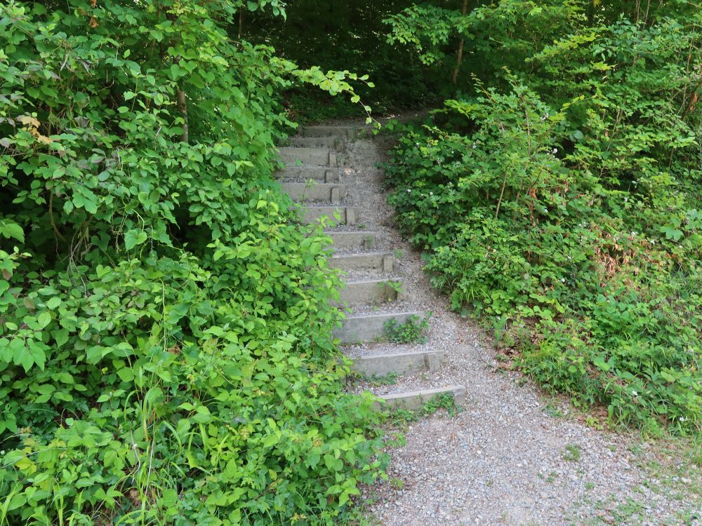 Treppe